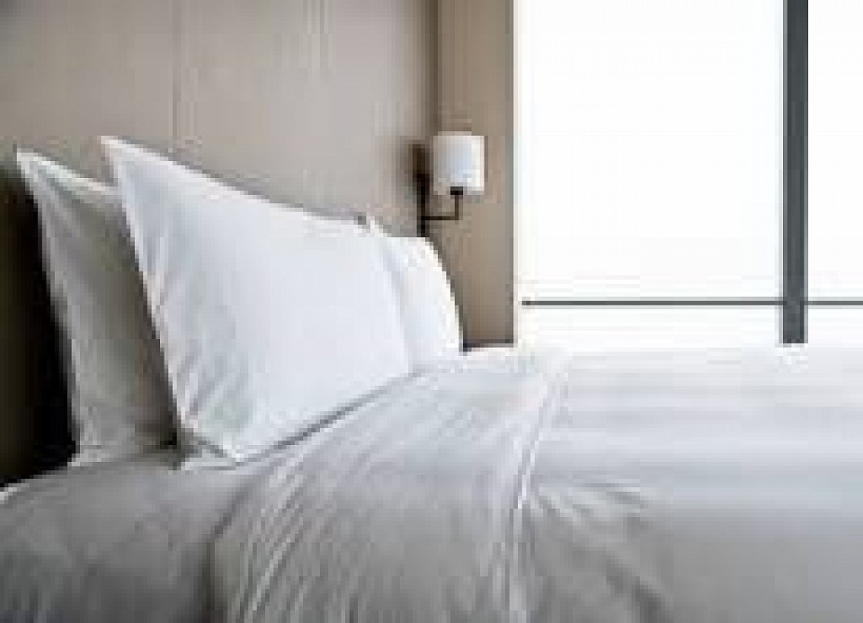 Barkus hotel room